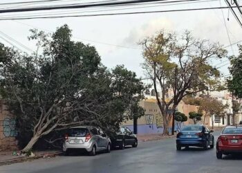Este miércoles seguirán vientos fuertes y tolvaneras, alerta Servicio Meteorológico Nacional