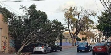 Este miércoles seguirán vientos fuertes y tolvaneras, alerta Servicio Meteorológico Nacional