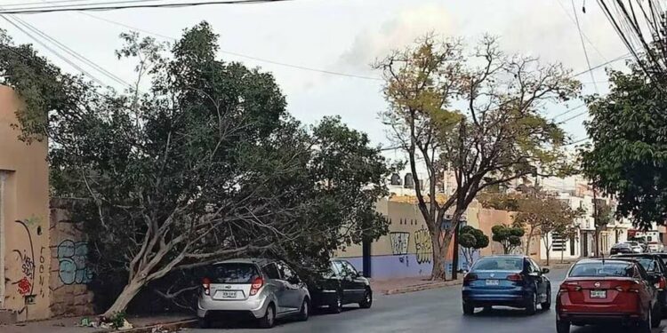 Este miércoles seguirán vientos fuertes y tolvaneras, alerta Servicio Meteorológico Nacional