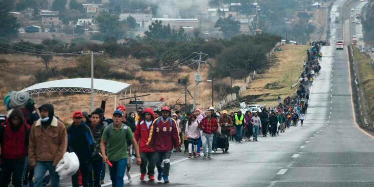 Gobierno brindará apoyo a peregrinos con “Operativo Candelaria 2024”