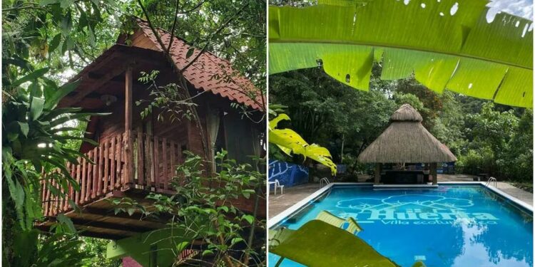Villa Ecoturística La Huerta, una experiencia de conexión y aprendizaje de la naturaleza en Xilitla, SLP