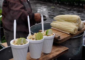 Escasez de elotes dispara su precio