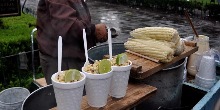 Escasez de elotes dispara su precio