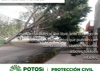 Atento Gobierno ante ráfagas de viento en la Zona Metropolitana