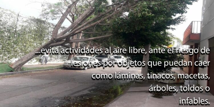 Atento Gobierno ante ráfagas de viento en la Zona Metropolitana