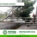 Atento Gobierno ante ráfagas de viento en la Zona Metropolitana