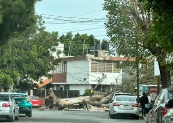 VIDEOS: Fuertes vientos seguirán hasta este martes: PC