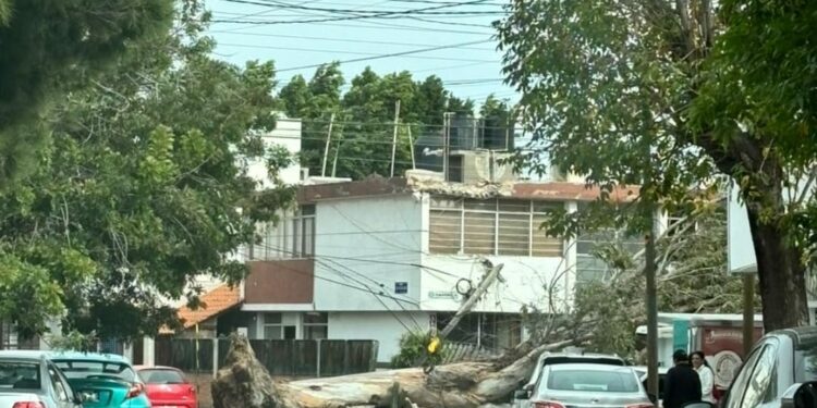 VIDEOS: Fuertes vientos seguirán hasta este martes: PC
