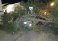 Qué hacer ante una emergencia por las fuertes ráfagas de viento que azotan SLP