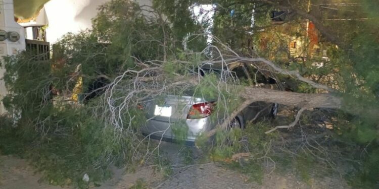 Qué hacer ante una emergencia por las fuertes ráfagas de viento que azotan SLP