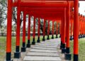 VIDEO: El jardín japonés, una experiencia relajante y de gran atractivo visual