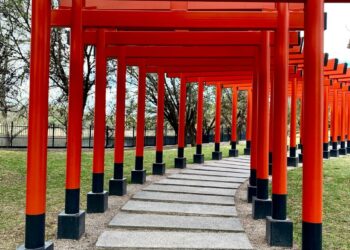 VIDEO: El jardín japonés, una experiencia relajante y de gran atractivo visual