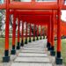 VIDEO: El jardín japonés, una experiencia relajante y de gran atractivo visual