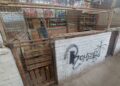 Abandonan locales del San Luis 400