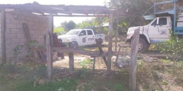 Ancianito falleció en incendio de parcela