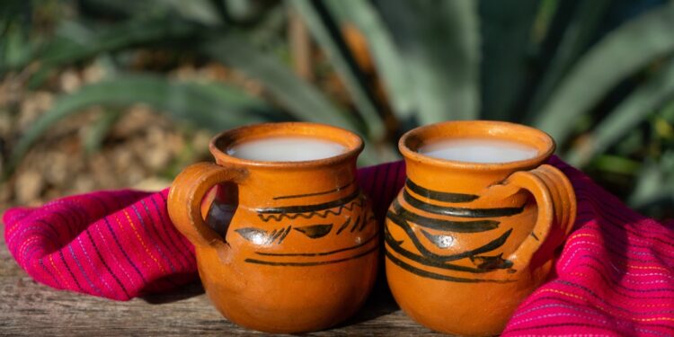 Día Nacional del Pulque. Conoce todas las actividades en SLP y Mexquitic que no te puedes perder