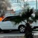 Camioneta calcinada por el fuego de un cortocircuito