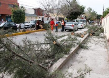 VIDEO: Vientos causaron algunos daños a escuelas: SEGE
