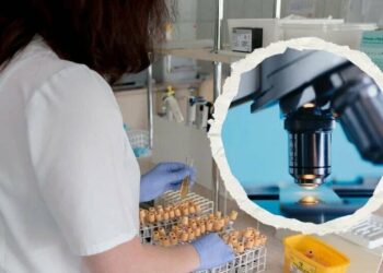 ¿Por qué la orina es amarilla? Investigadores lo revelan tras siglos de misterio