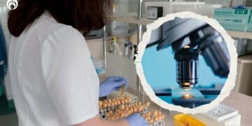 ¿Por qué la orina es amarilla? Investigadores lo revelan tras siglos de misterio