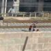 Hombre muere arrollado por el ferrocarril