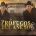 Prófugos del Anexo. ¿Cuándo se presentarán Julión Álvarez y Alfredo Olivas en SLP?