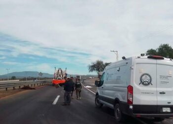 Muere jinete arrollado con todo y caballo