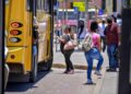 VIDEO: SCT analiza reestructuración de rutas del transporte urbano