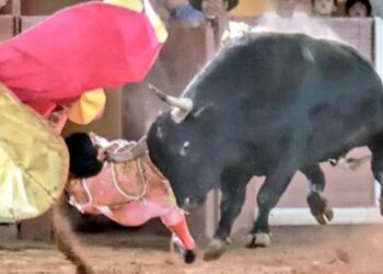 VIDEO: Torero recibe cornada en el cuello durante corrida en Tlaxcala