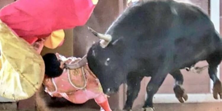 VIDEO: Torero recibe cornada en el cuello durante corrida en Tlaxcala