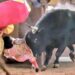 VIDEO: Torero recibe cornada en el cuello durante corrida en Tlaxcala