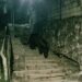 Detectan un jaguar deambulando en calles de Tancanhuitz en la huasteca potosina