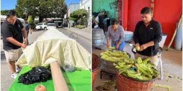 ¡Afila el diente! Preparan en Rioverde, SLP, elote gigante que mide 12 metros