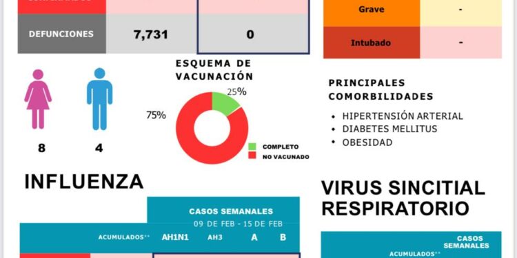 La Secretaría de Salud ya no hará reportes diarios del Covid-19