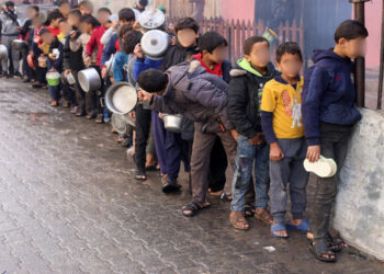 Sobreviven niños con alimento para animales en Gaza