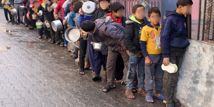 Sobreviven niños con alimento para animales en Gaza