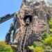 Turistas se quedan atrapados por 30 minutos en una de las montañas rusas más altas de Disney