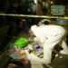 Sentencian a 85 años de prisión a asesinos de niños mazahuas