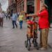 El organillero, una figura icónica en la vida urbana de SLP