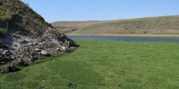 Tribunal federal ordena limpiar el lirio acuático de la presa San José