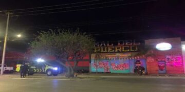 VIDEO: Riña en antro Mal del Puerco deja tres heridos