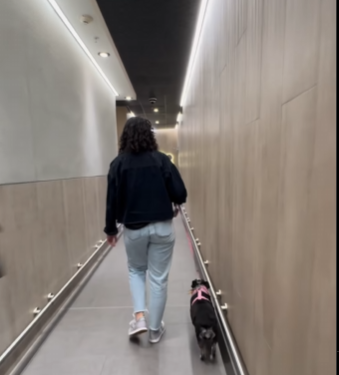 Así es el primer baño con sanitario para mascotas en centro comercial de Medellín