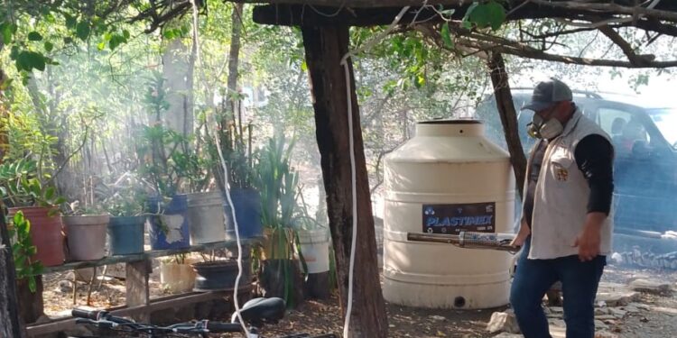 Fortalecen acciones contra el dengue