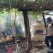 Fortalecen acciones contra el dengue