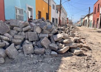 VIDEO: Vecinos del Barrio de San Miguelito denuncian tala de árbol