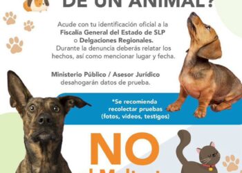 Investigan denuncia por maltrato animal en SLP