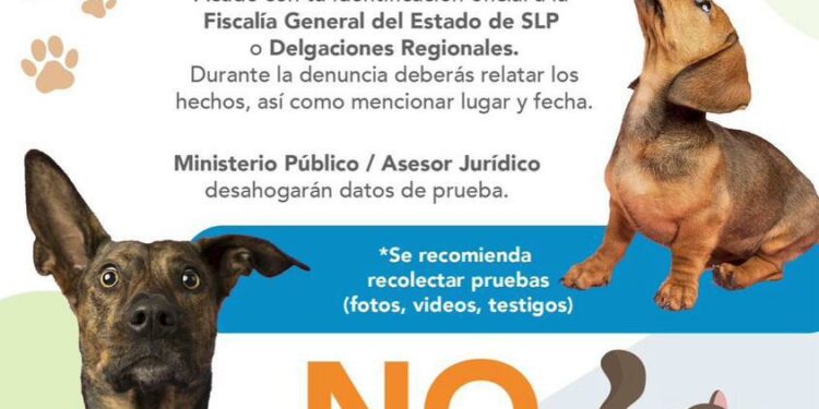 Investigan denuncia por maltrato animal en SLP
