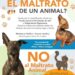 Investigan denuncia por maltrato animal en SLP
