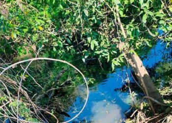 Adulto mayor se arroja al río y muere ahogado