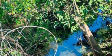 Adulto mayor se arroja al río y muere ahogado
